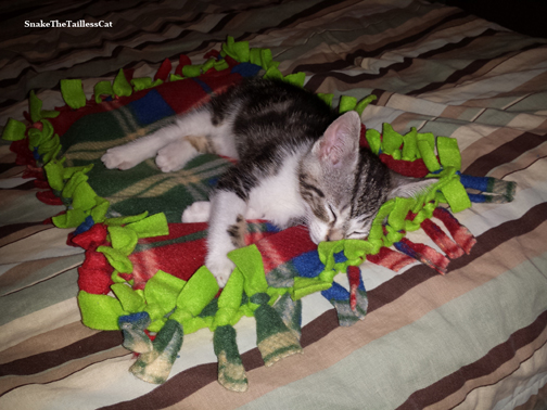 Sleeping on His Blanket