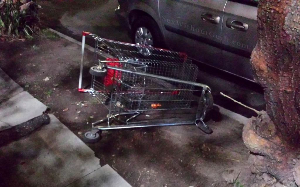 Shopping Cart Chained 3